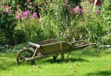 Почему весной нельзя использовать железный купорос в саду